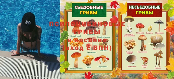 хмурый Богородск