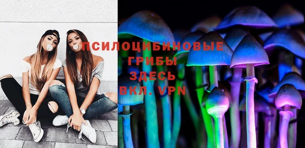 кокс Михайлов