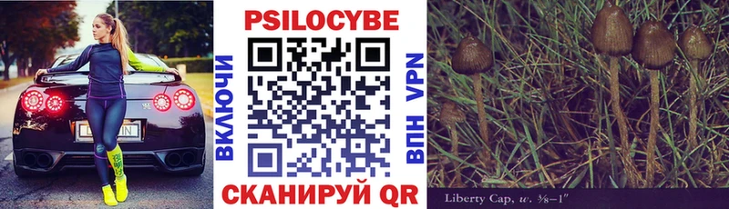 Галлюциногенные грибы Psilocybine cubensis  Яровое 